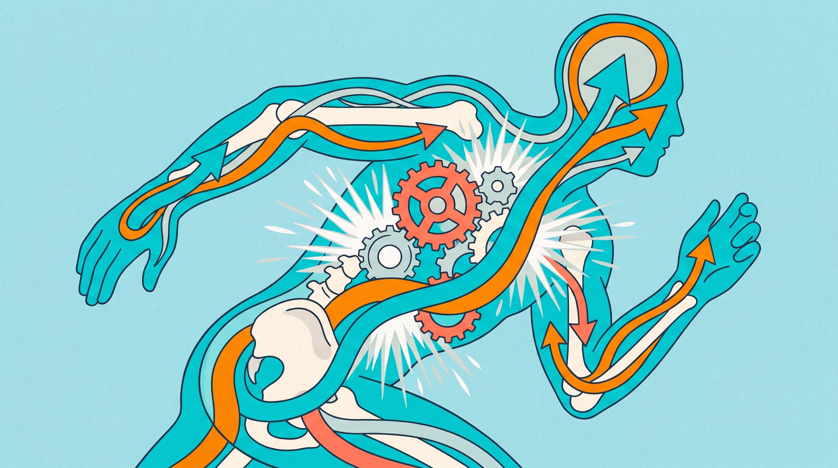 El metabolismo transforma alimentos y bebidas en energía y sostiene funciones vitales incluso durante el descanso y el sueño (Imagen Ilustrativa Infobae)