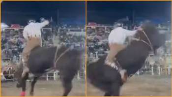 Jinete queda atrapado bajo un