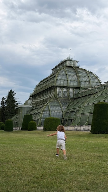 Un niño pequeño con cabello castaño, camiseta blanca y pantalón corto claro corre sobre césped verde frente a una gran estructura de vidrio y metal verde