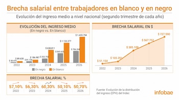 Infografía con gráficos de barras y líneas sobre el ingreso medio y la brecha salarial en Argentina según datos del Indec.