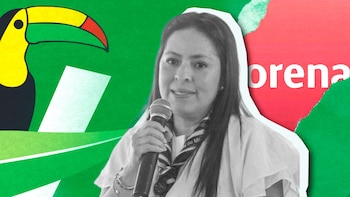 PVEM pone ‘tensión’ en su alianza con Morena rumbo al 2027: pide liderar candidatura en San Luis Potosí y buscará ir solo en CDMX