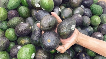 Qué señales conviene revisar al elegir una palta