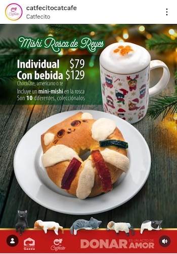 Una opción ideal para los