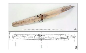 Los esquís, datados entre los