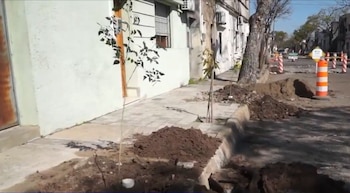 La municipalidad comenzó a ejecutar el Plan Reverdece, una iniciativa que prevé generar infraestructura verde y contribuir a reducir el calor en el verano