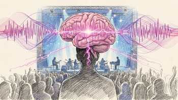 Revelaron qué sucede en el cerebro durante un concierto en vivo y cómo se potencia la conexión con la música