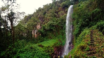 En Antioquia, 300 mil hectáreas