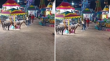 Joven patea a un pony en plena feria de San Luis Potosí y el video desata indignación en redes