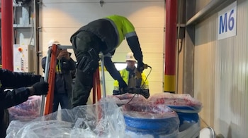 La Policía Nacional de Colombia detectó cocaína en una carga de pulpa de guayaba durante una inspección en el puerto de Cartagena - crédito prensa Policía Nacional