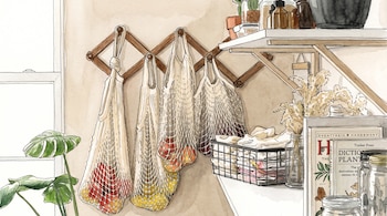 Ilustración de cuatro bolsas de malla con frutas colgadas en la pared, estantes con frascos de vidrio, libros y plantas de interior.
