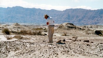 Hallaron al “padre de los