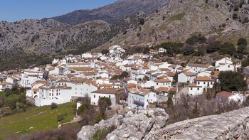 Registrados varios movimientos sísmicos durante