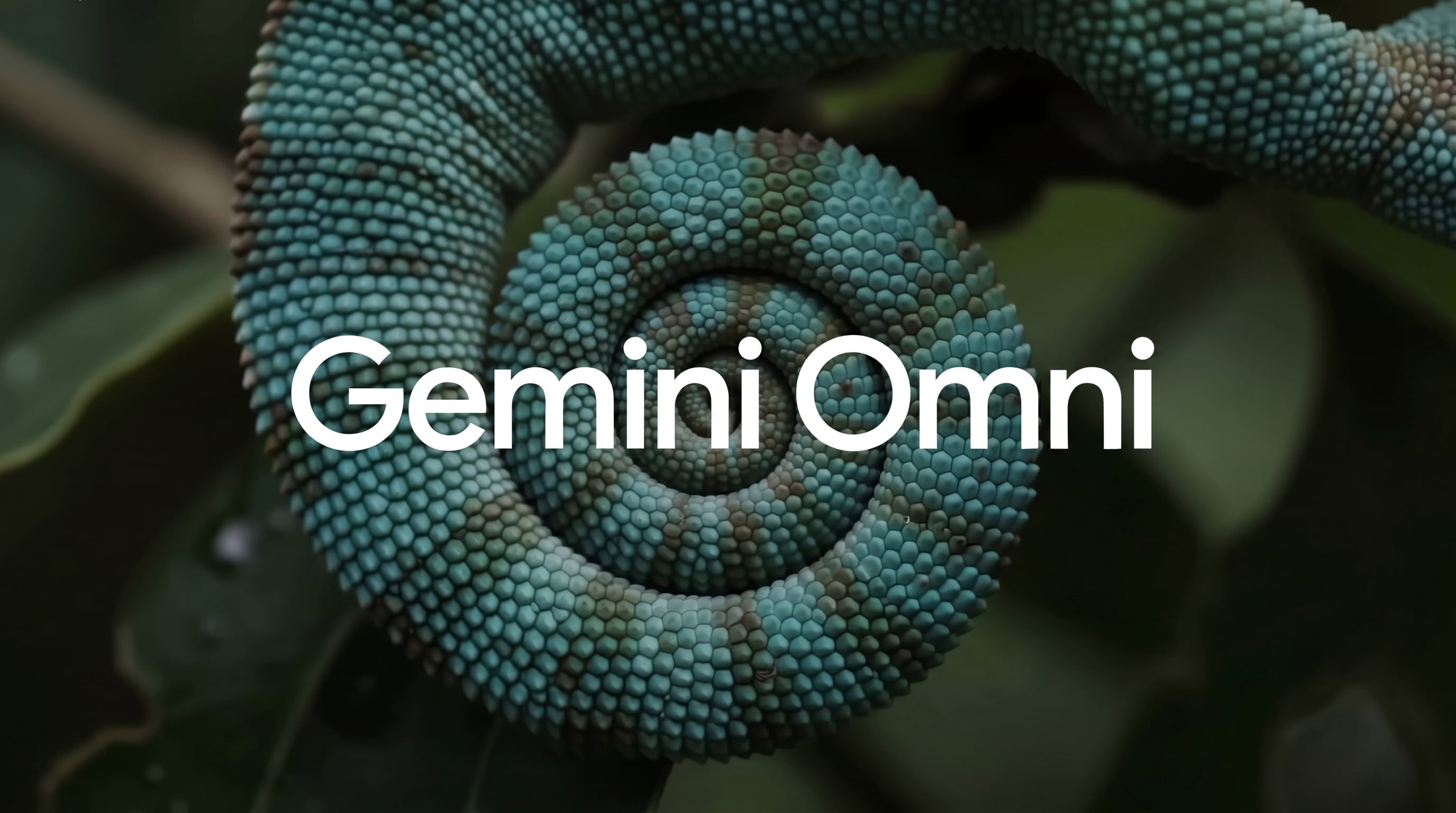 Gemini Omni permite crear videos a partir de fotografías, descripciones de texto y pistas de audio, generando contenido cohesivo y personalizado. (Google)