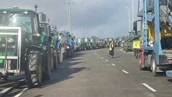 Organizaciones agrarias se reunirán el