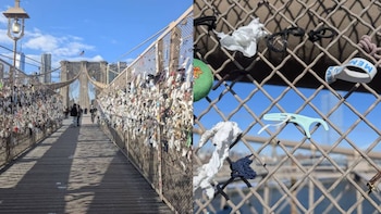 El voluntariado ciudadano impulsa la