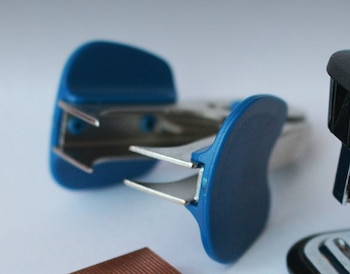 Quitagrapas (Pixabay)