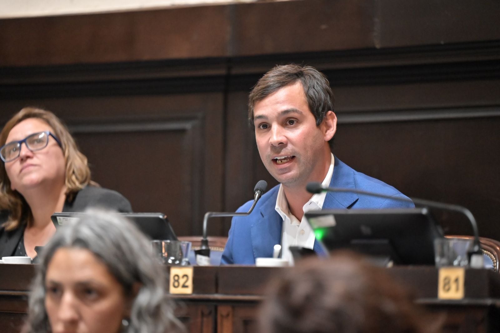La iniciativa fue propuesta por Valentín Miranda, diputado de la Unión Cívica Radical (UCR)