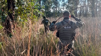 Parte de la búsqueda para