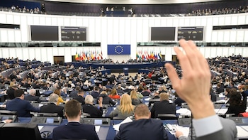La crisis en Ceuta congela en el Parlamento Europeo la votación del polémico acuerdo comercial con Marruecos, que incluye los productos del Sáhara Occidental