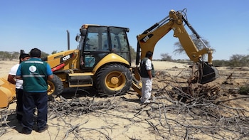 La profesión de operador de