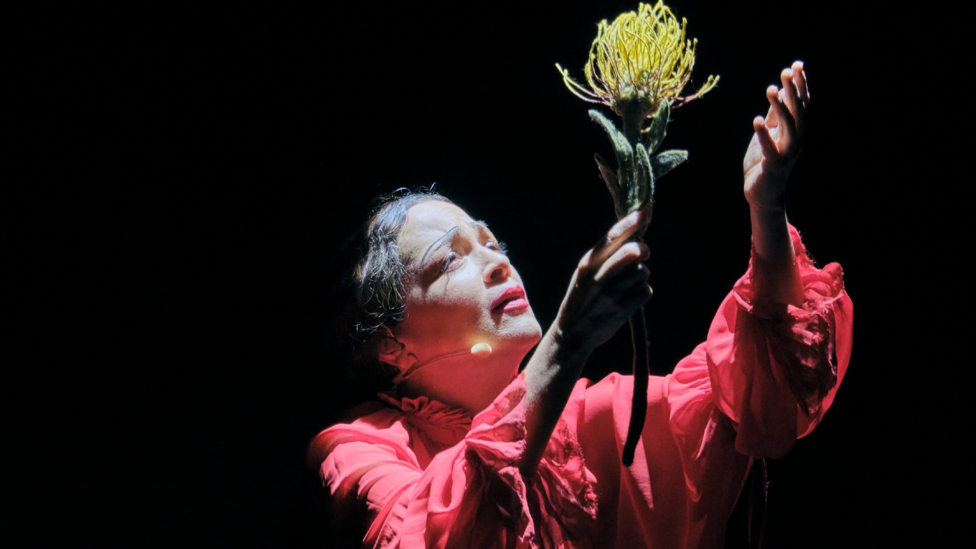 Cancionera fue grabado en vivo con 18 músicos y producido junto a Adán Jodorowsky, brindando un enfoque artesanal y cinematográfico (Foto: Liliana Estrada, OCESA)
