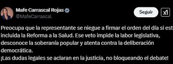 La representante afirmó que las