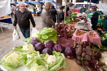 Diferentes tipos de malnutrición afectan