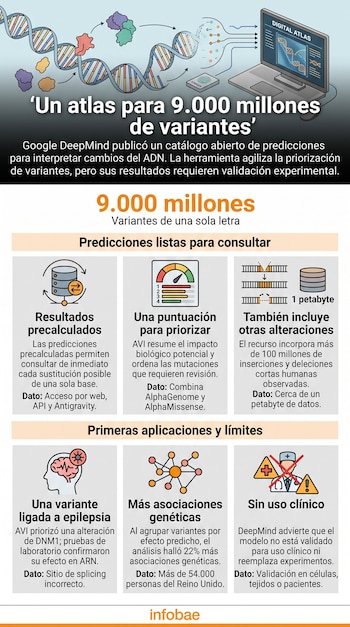 Infografía con ilustraciones de una hélice de ADN, una computadora y seis recuadros explicativos sobre un atlas genético de Google DeepMind.