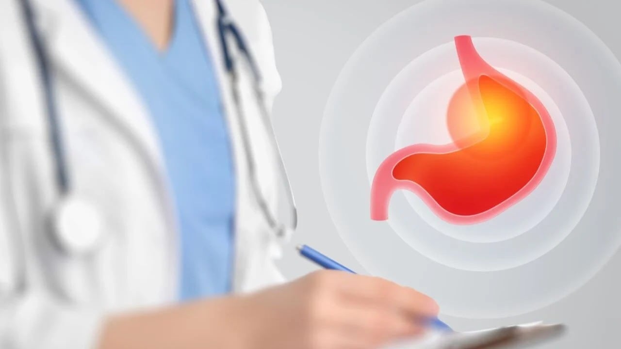 El ácido clorhídrico y las enzimas ayudan a descomponer los alimentos y eliminan bacterias peligrosas en el estómago (Oncosalud Entidad oncológica especializada en prevención, diagnóstico y tratamiento del cáncer)