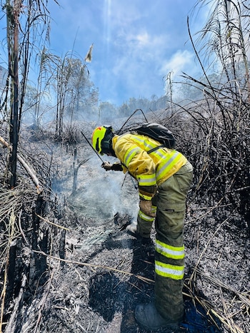 El Dagrd mantuvo desplegada una capacidad operativa de más de 1.600 profesionales y socorristas para atender emergencias en Medellín - crédito @DAGRDMedellin/X