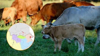 España, en alerta ante la