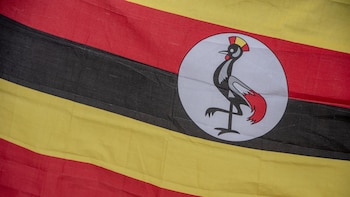 El opositor Bobi Wine denuncia