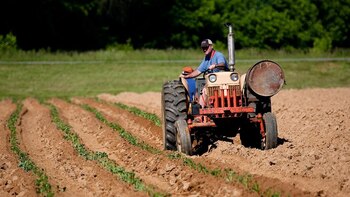 El concurso busca dar cuenta