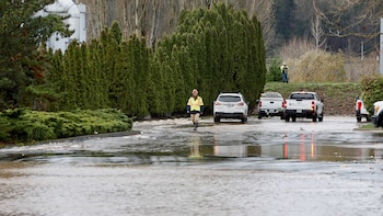 La ruptura de un dique