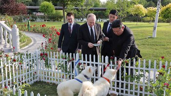 Putin y Kim han intercambiado