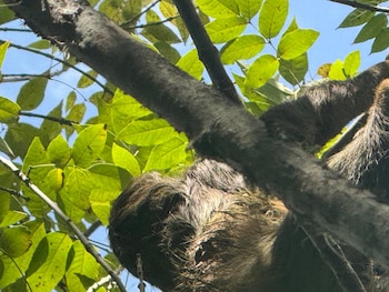 La intervención inmediata evitó que