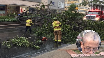 Accidente - Árbol caido - Bogotá