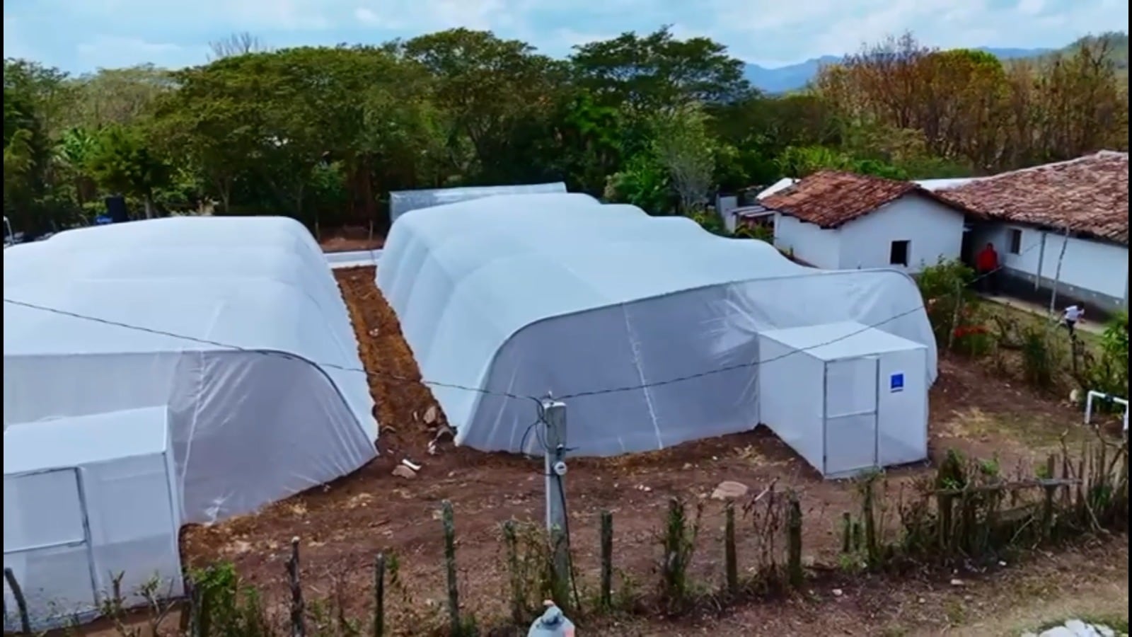 Honduras asegura reservas de frijol para enfrentar la sequía y descarta por ahora una crisis de abastecimiento