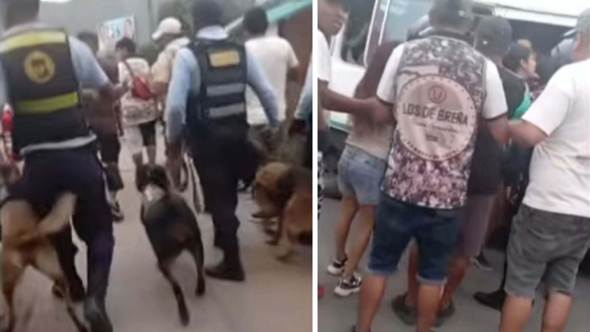 Barristas atacan a Brigada Canina de Serenazgo en La Molina. Foto: 24 horas