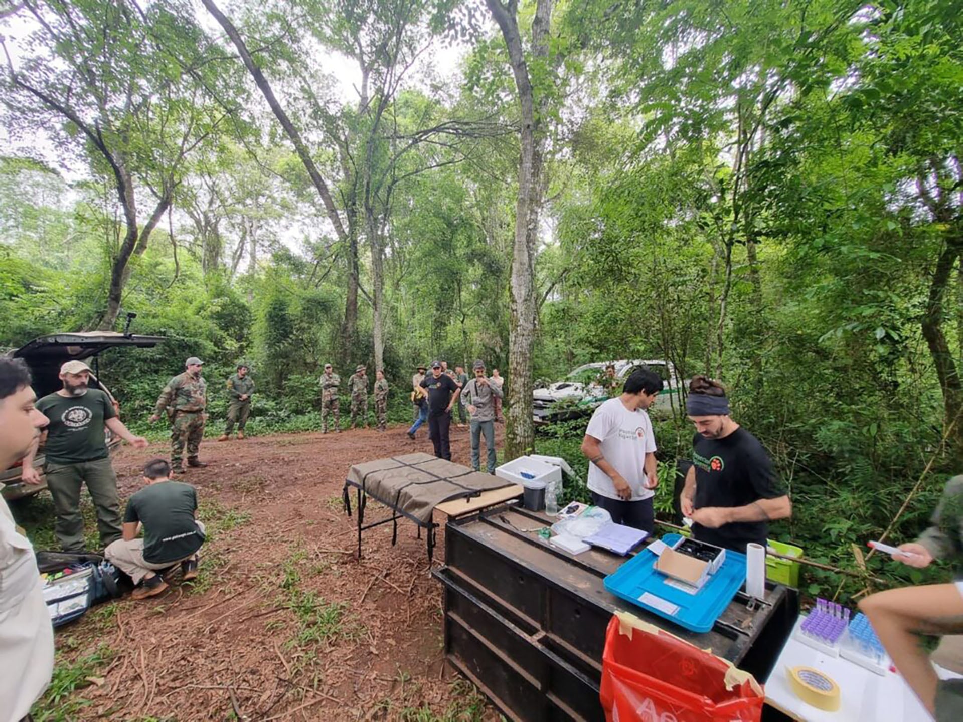 El operativo se realizó tras nueve días de trabajo conjunto (Foto/Ministerio Ecología de Misiones)