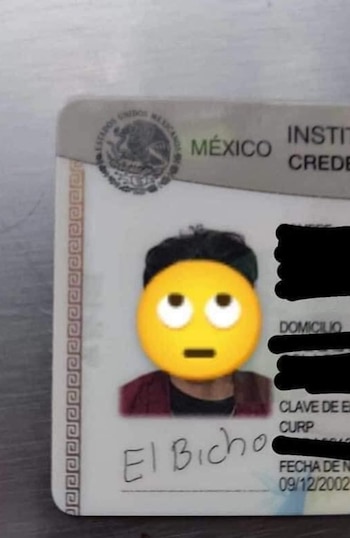 Usuarios en rede sociales viralizaron