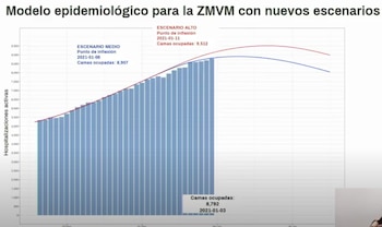 (Foto: captura de pantalla videoconferencia