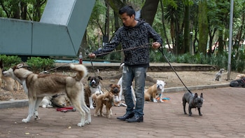 Uno de los objetivos de