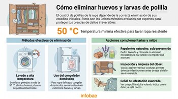 Armario con ropa, huevos, larvas, polillas volando, lavadora, congelador con ropa, cedro, lavanda, vela, persona aspirando clóset, lupa, polilla en suéter roto.