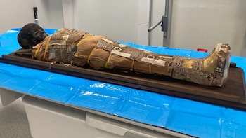 Estudiaron una momia egipcia de más de 2.000 años y hallaron un papiro oculto debajo de las vendas