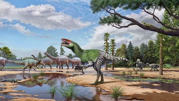 Descubrieron una especie de dinosaurio carnívoro en Europa: el fósil estuvo guardado durante un siglo en un museo