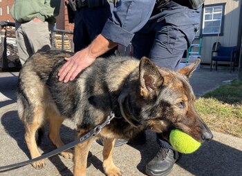 La binomio falleció a los