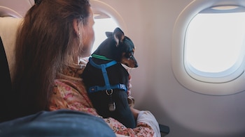 Esta será la primera aerolínea