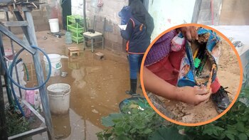 Más de 19 viviendas inundadas