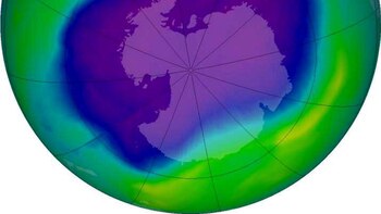 Los científicos constatan que la